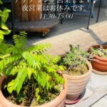 ぶち久々にランチ営業やります！