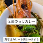 新メニュー ぶちさっぱり海老塩カレーも全部のっけカレーで楽しめます♪
